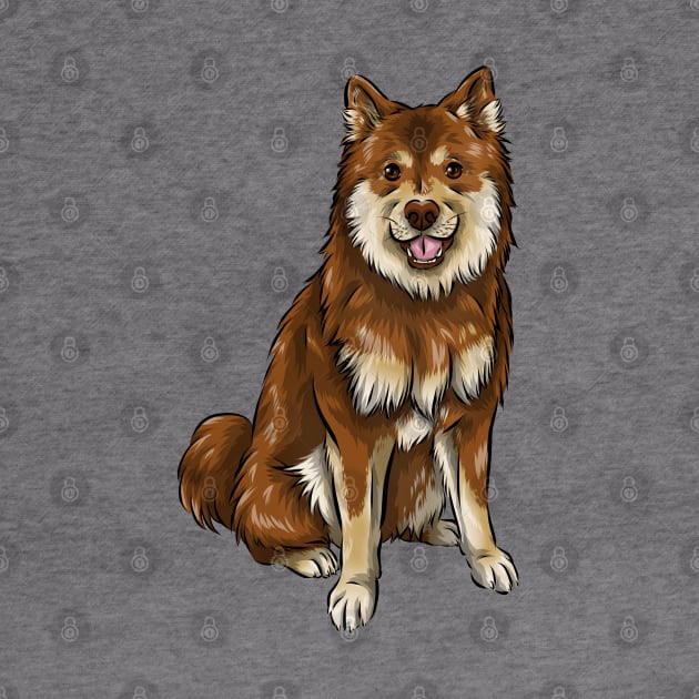 Finnish Lapphund Dog | Chocolate and Tan by Shirin Illustration